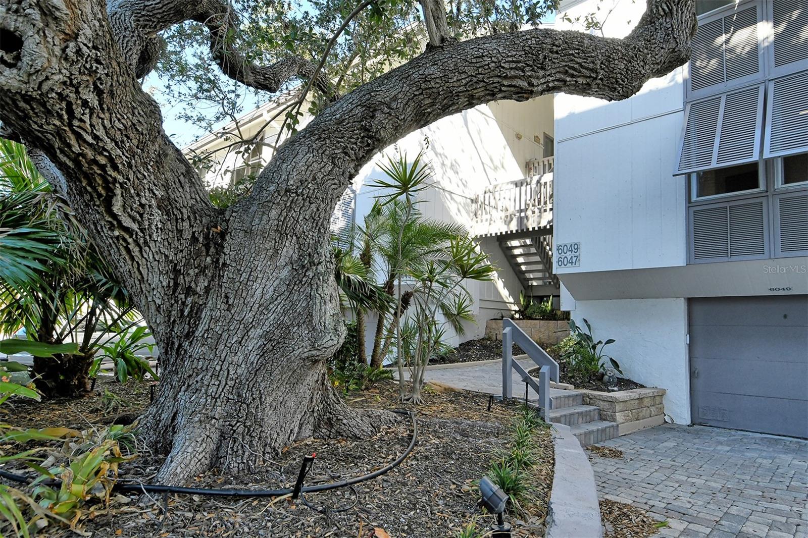 Image 3 of 77 For 6047 Peppertree Way 224