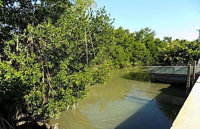 Image 2 of 54 For 651 Jungle Queen Way