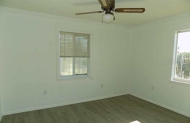 Image 9 of 54 For 651 Jungle Queen Way