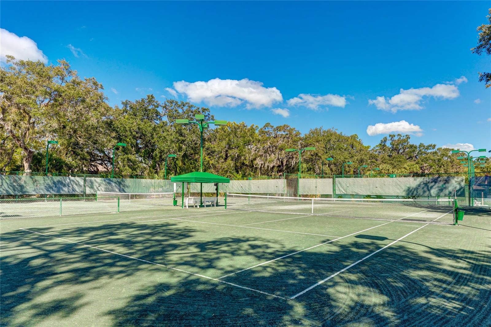 Image 57 of 58 For 5207 Myrtle Wood  4