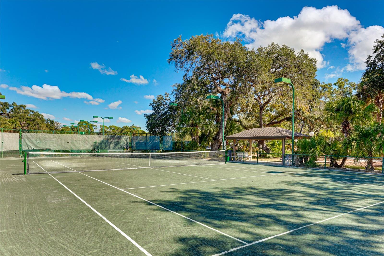 Image 58 of 58 For 5207 Myrtle Wood  4