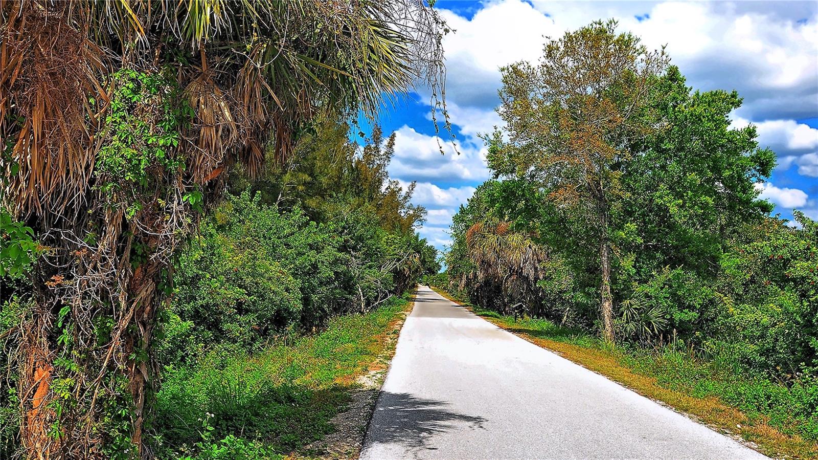 Image 42 of 50 For 3008 Arch Drive