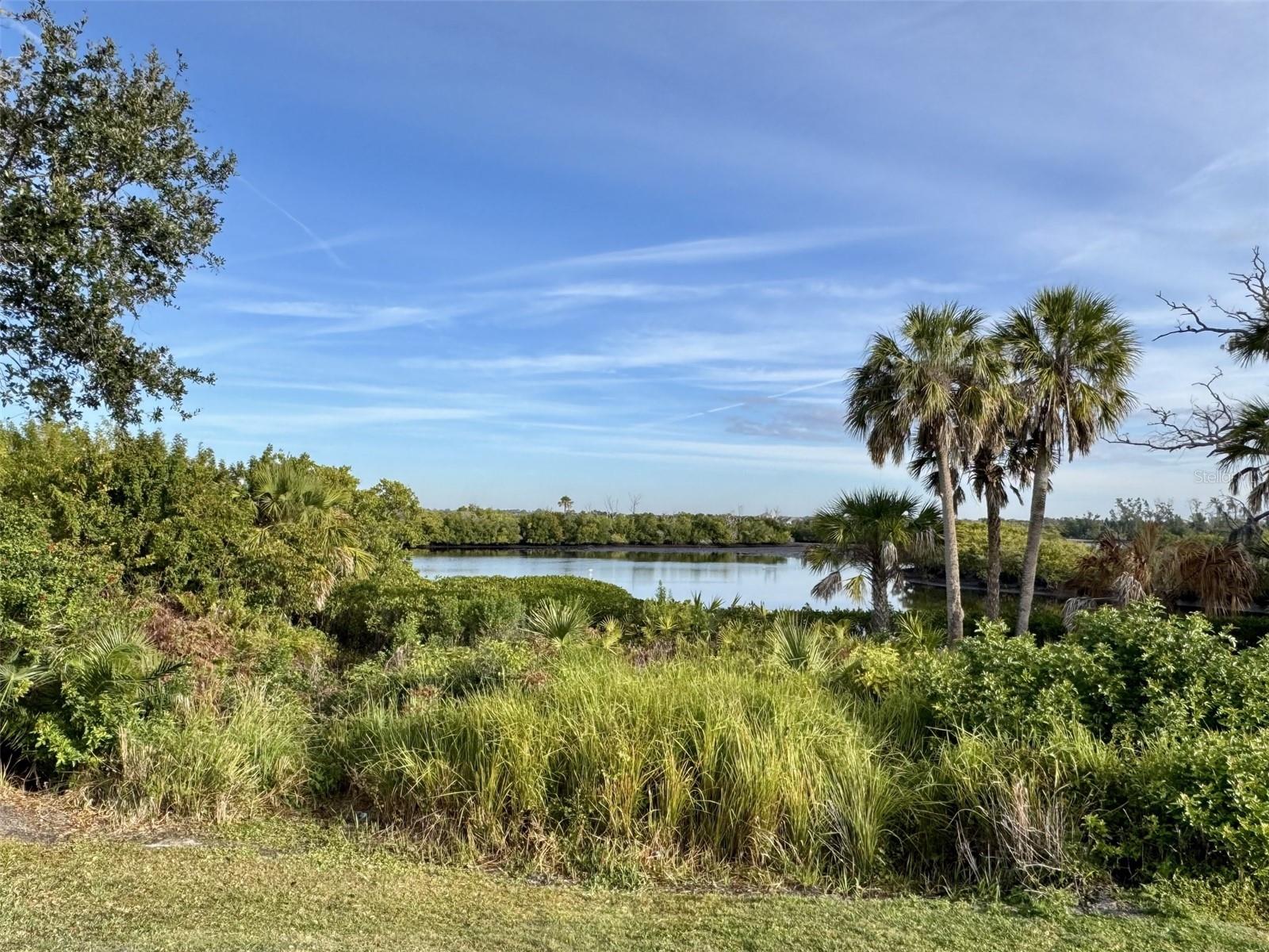 Image 32 of 49 For 9411 Discovery Terrace 102b