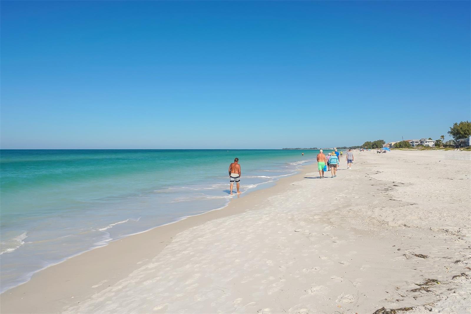 Image 44 of 86 For 4216 Plumosa Street W