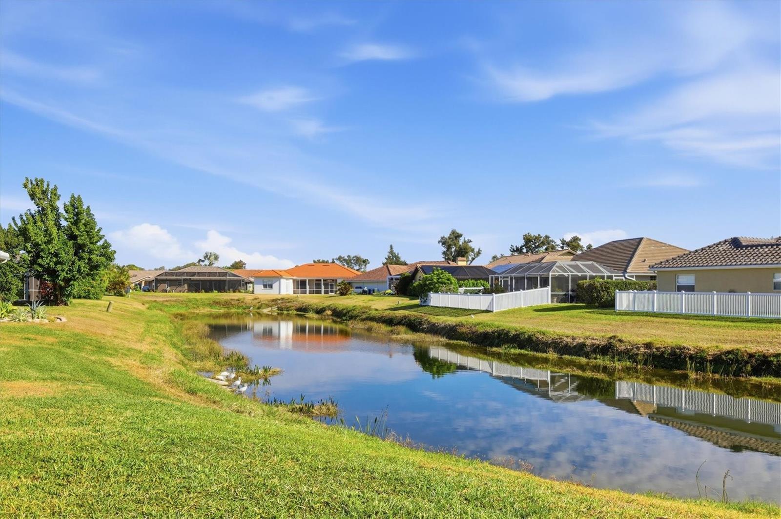 Image 32 of 40 For 1060 Truman Street