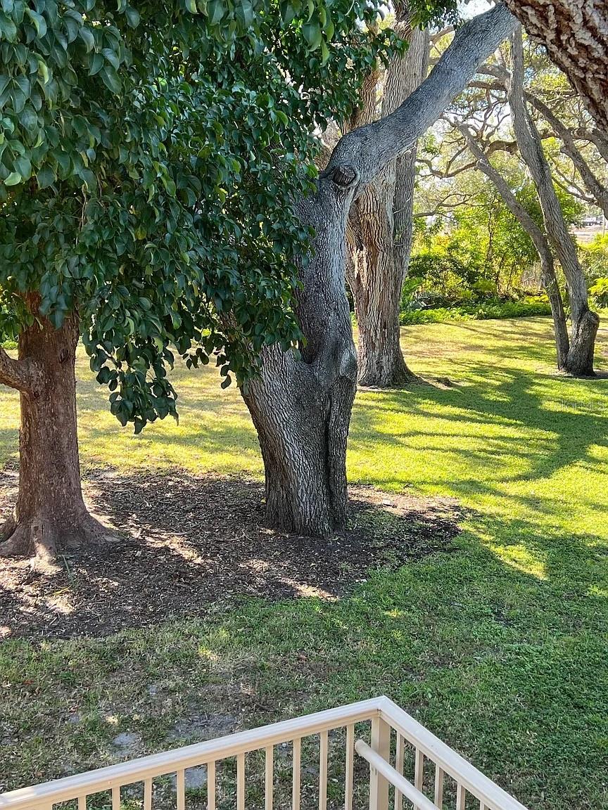 Image 8 of 29 For 4035 School Avenue D6