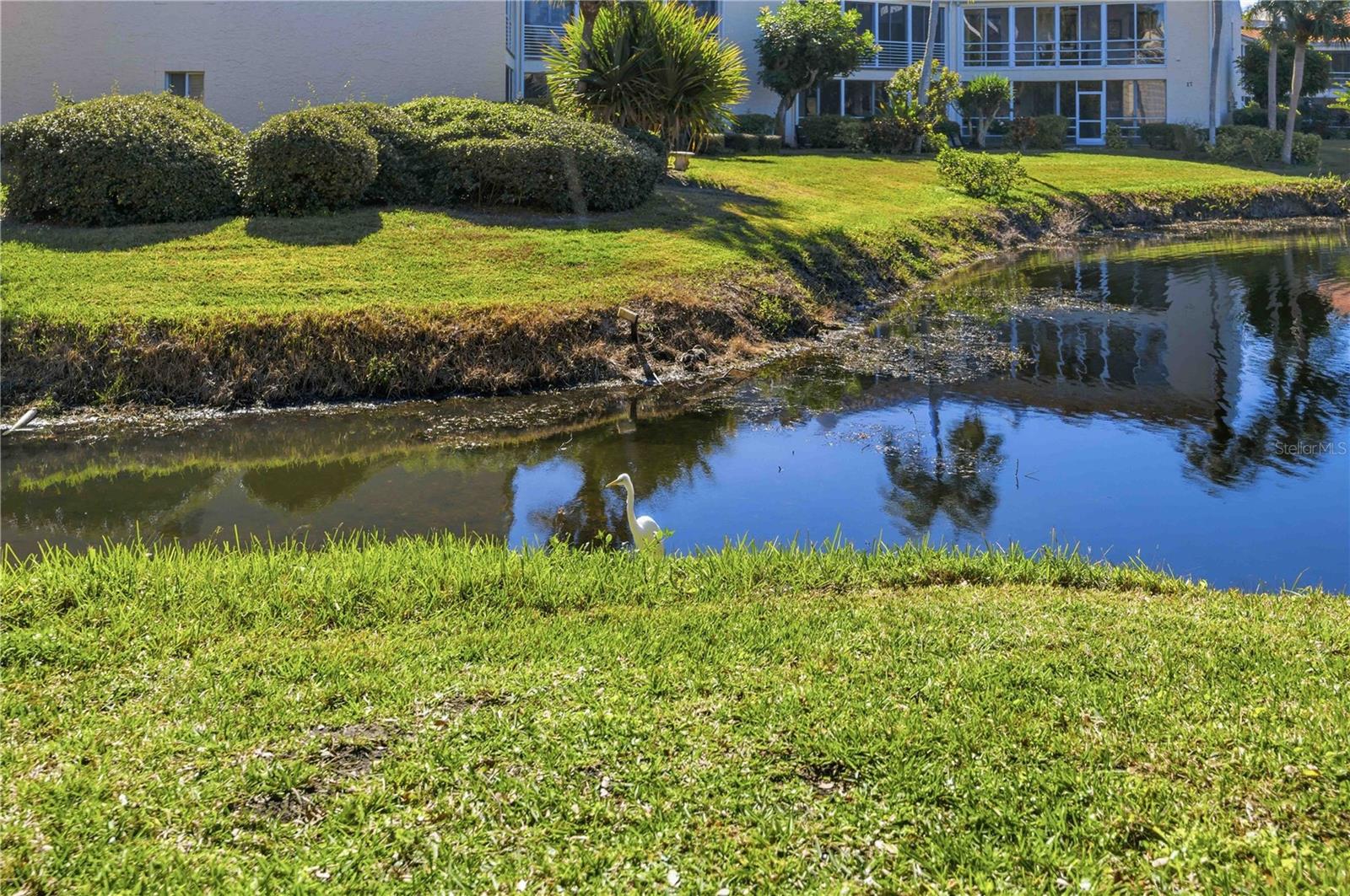 Image 28 of 46 For 6101 34th Street W 22f