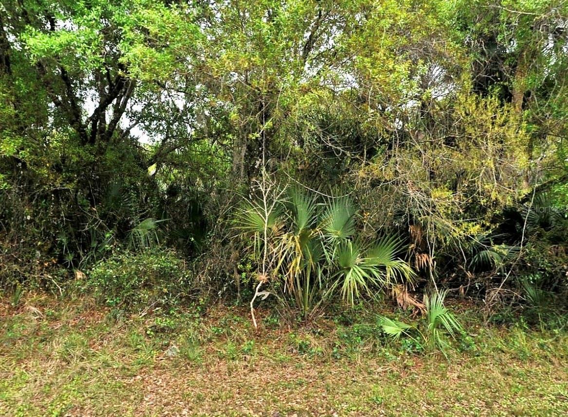 Listing Details for Backert Rd. , NORTH PORT, FL 34291