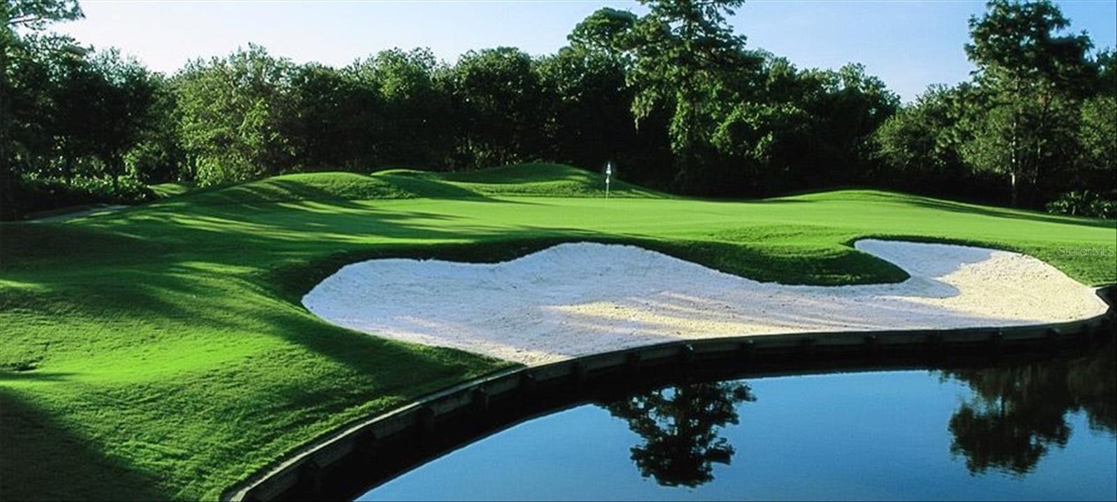 Image 44 of 52 For 7203 Chatsworth Court