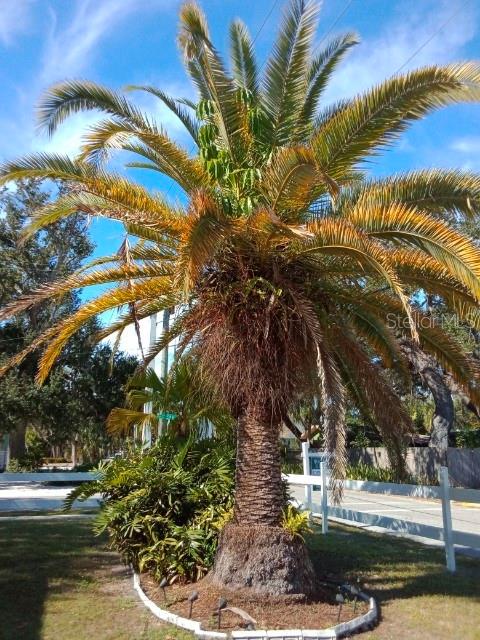 Image 5 of 40 For 1010 Indian Beach Drive Drive