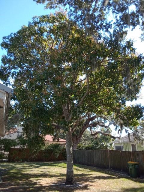 Image 7 of 40 For 1010 Indian Beach Drive Drive