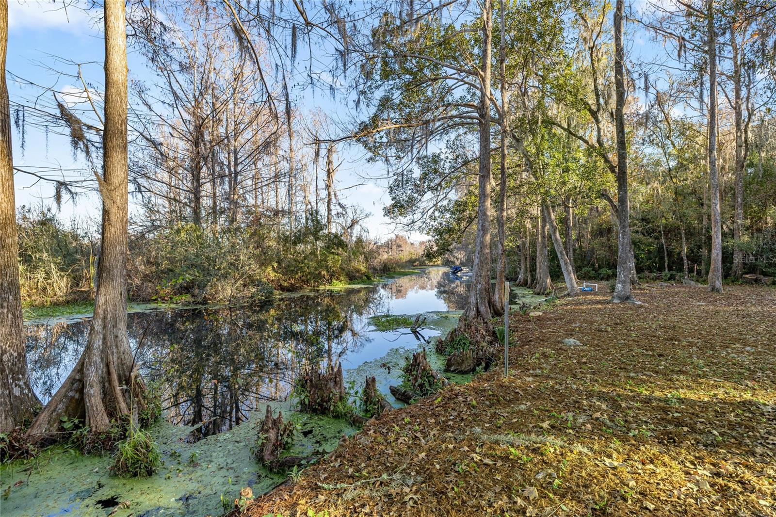 Image 31 of 40 For 3411 Cypress Drive