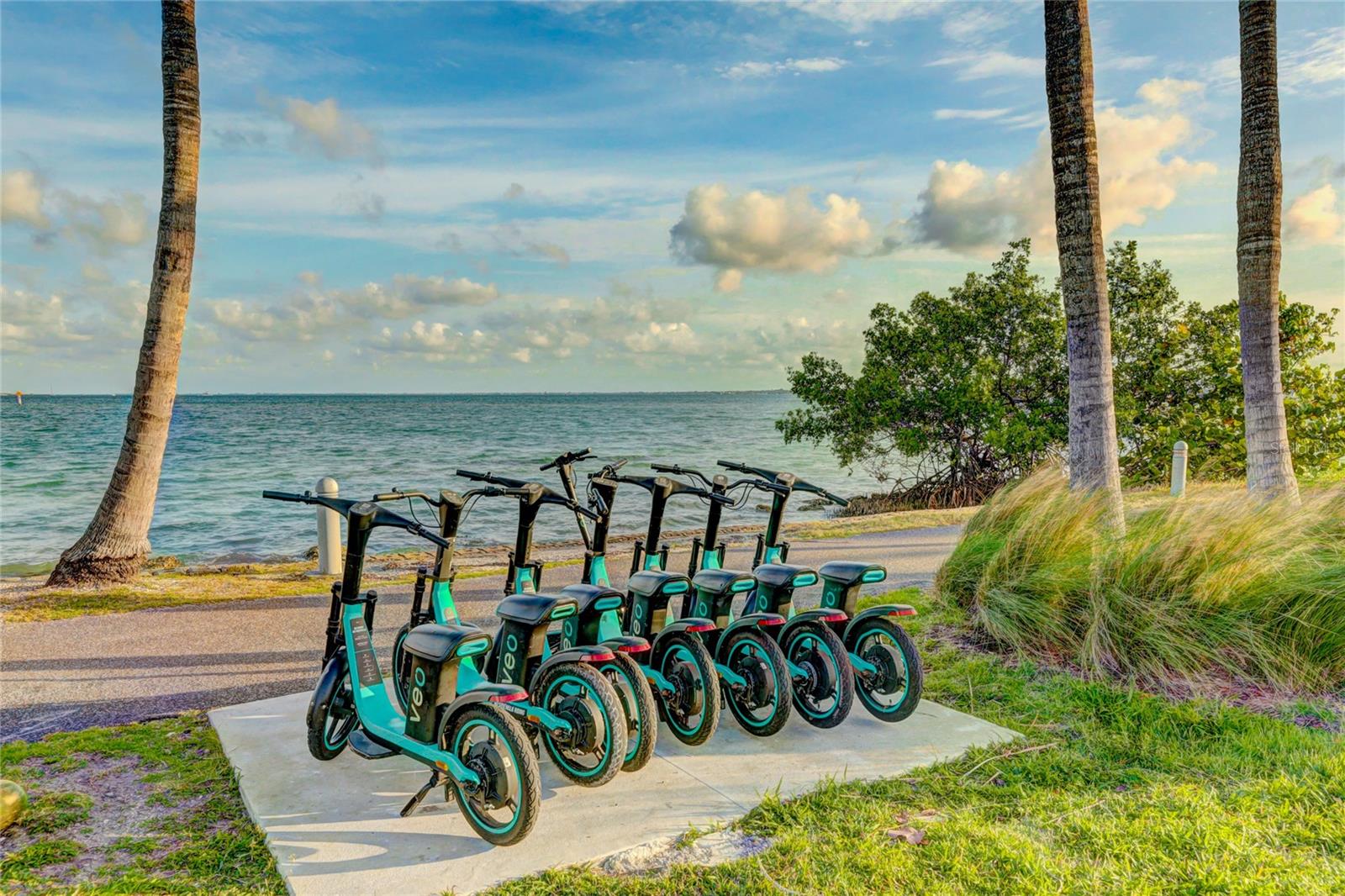 Image 72 of 83 For 526 Bird Key Drive