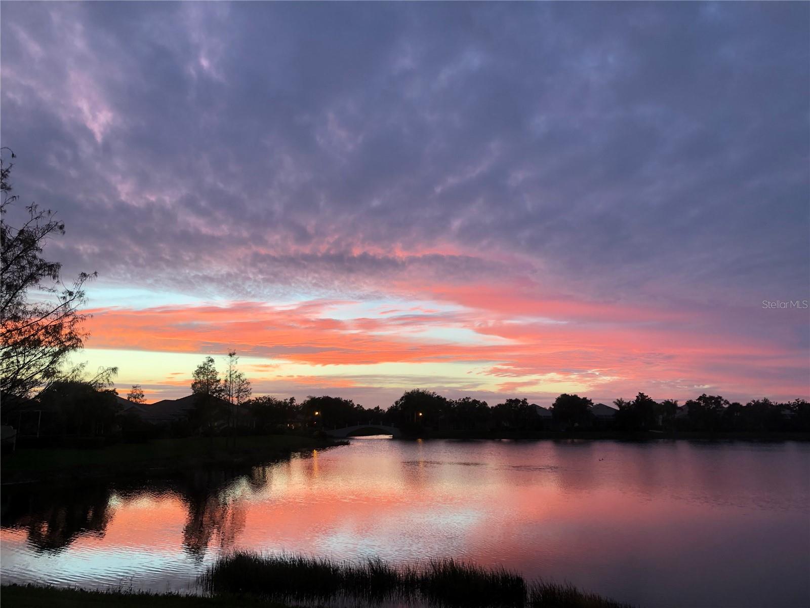 Image 28 of 72 For 7782 Uliva Way