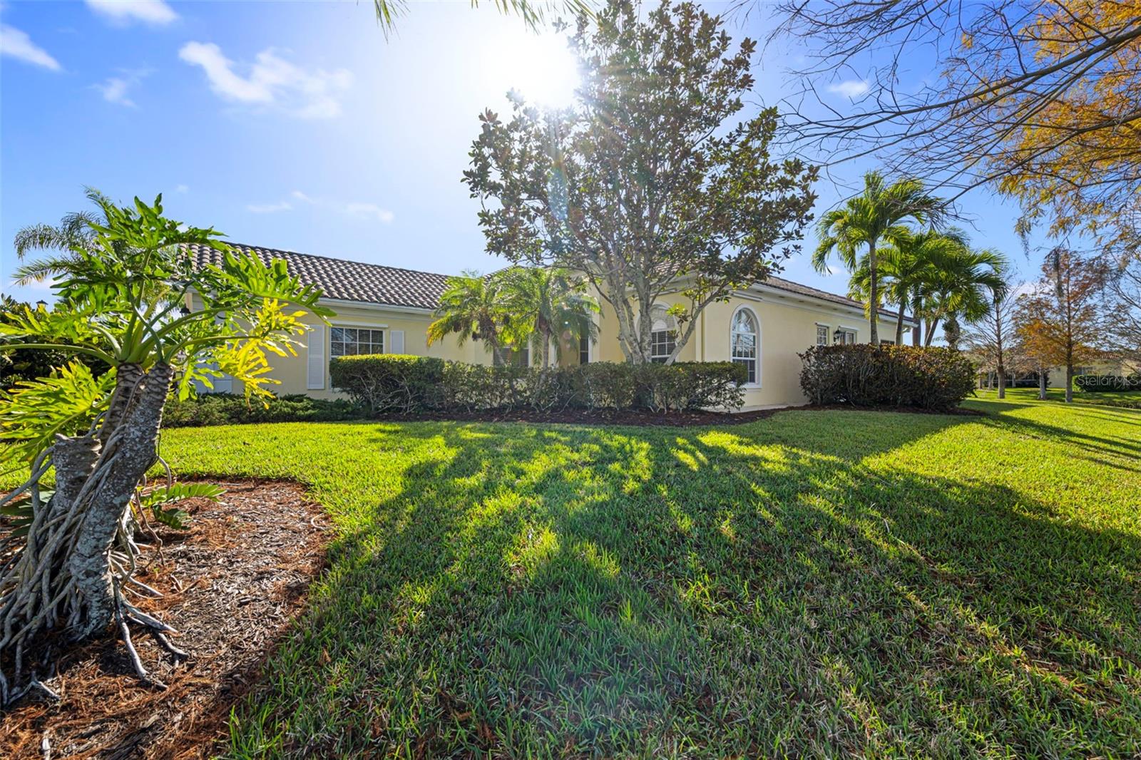 Image 5 of 72 For 7782 Uliva Way