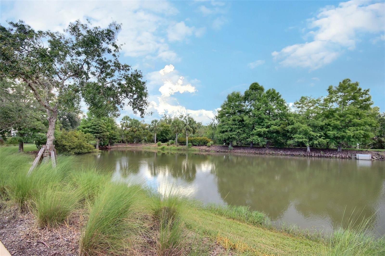 Image 58 of 58 For 10550 Piedra Dr