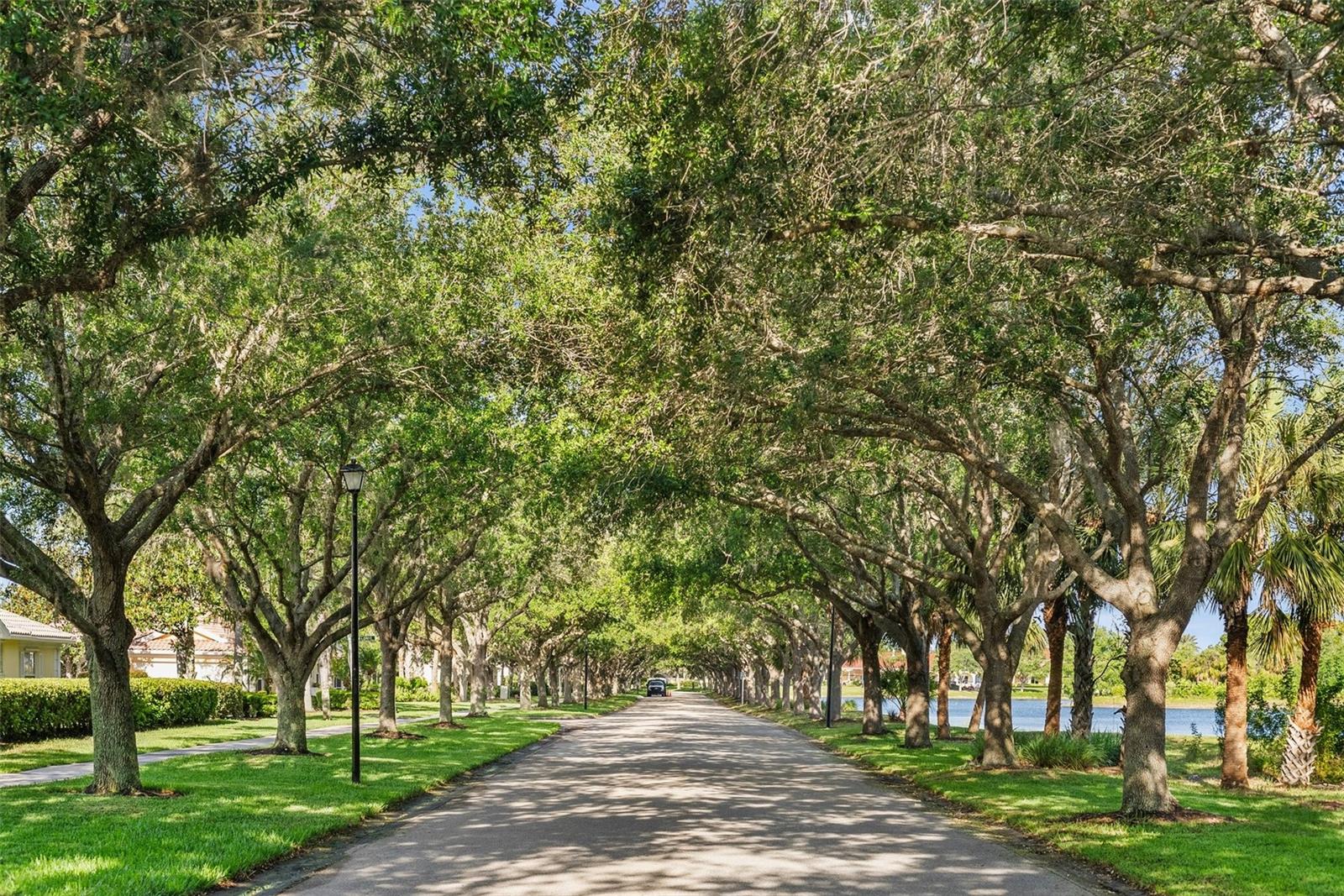 Image 64 of 64 For 5735 Wilena Place