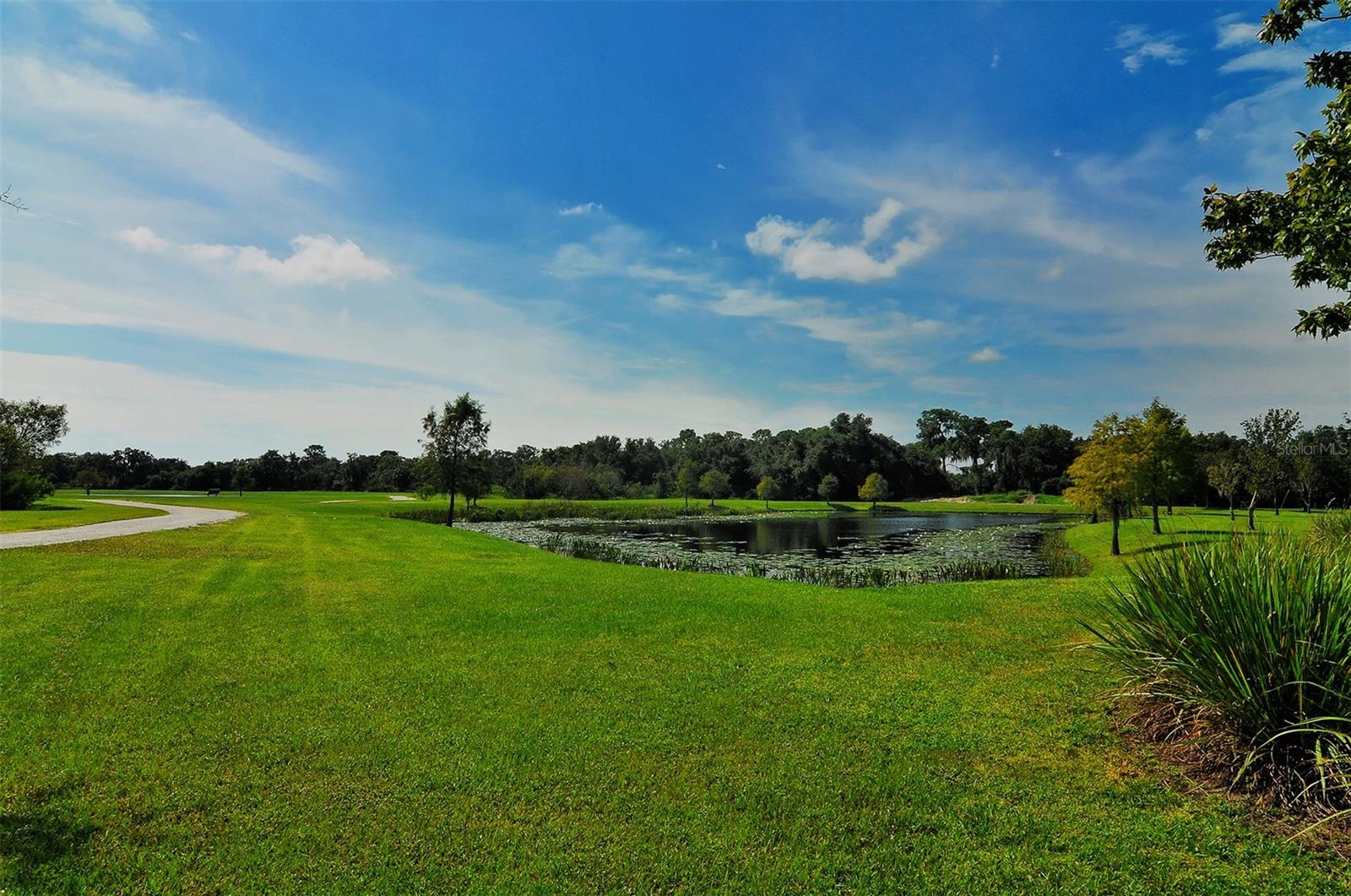 Image 49 of 64 For 14324 Silver Trout Drive