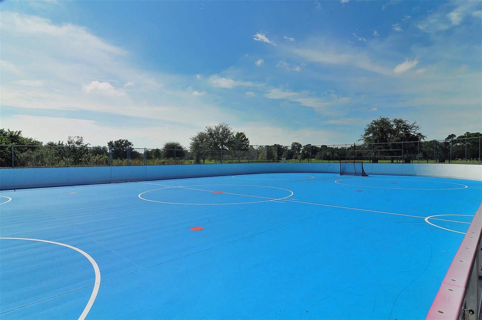 Image 59 of 64 For 14324 Silver Trout Drive