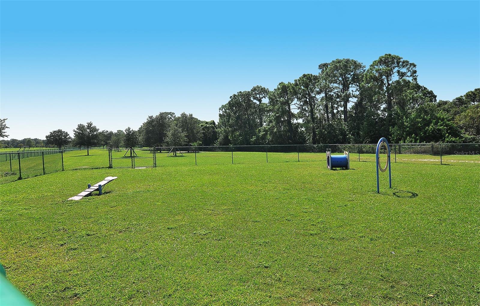 Image 64 of 64 For 14324 Silver Trout Drive