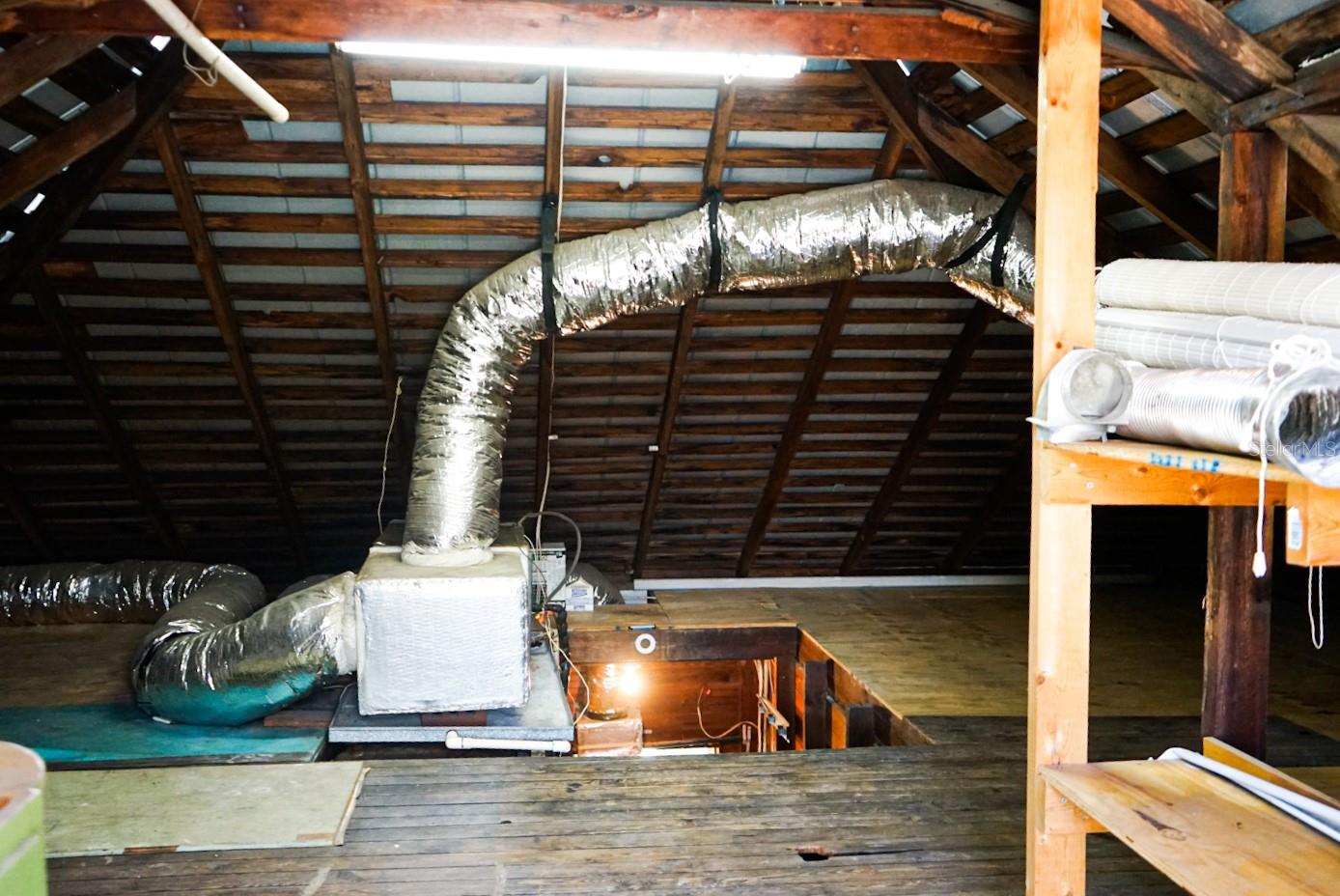 Image 20 of 26 For 146 Hernando Avenue