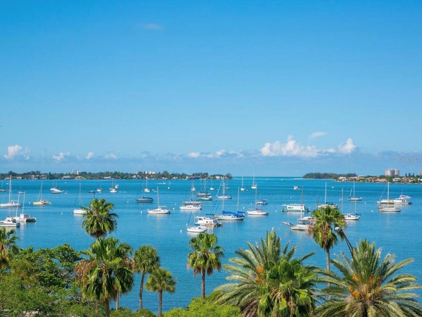 Image 3 of 35 For 707 Gulfstream Avenue 301