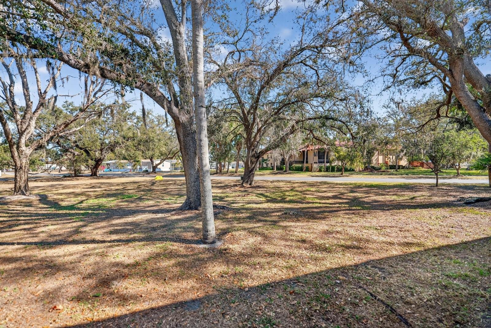 Image 29 of 33 For 1111 Faith Circle 1003