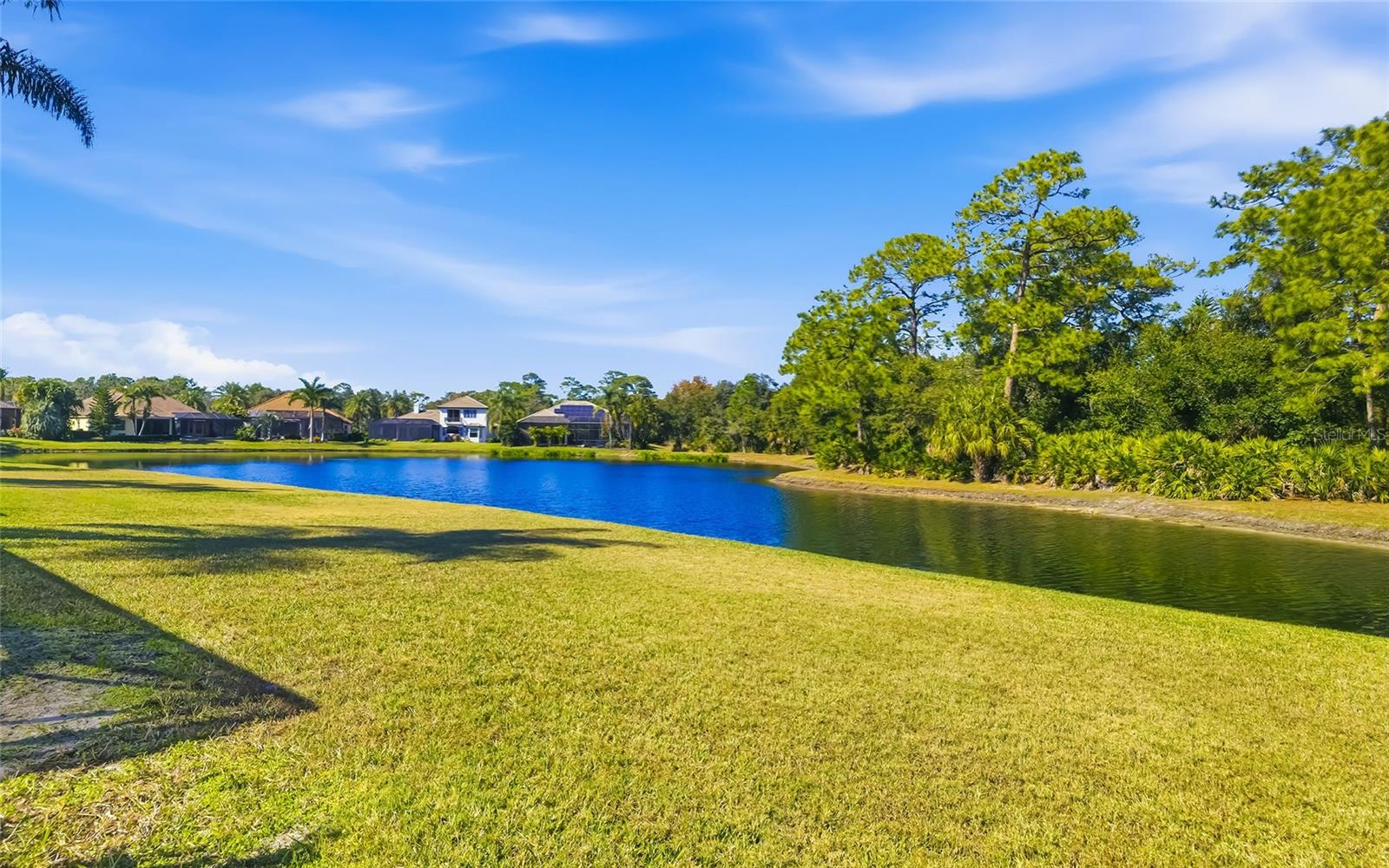 Image 43 of 50 For 9515 Royal Calcutta Place