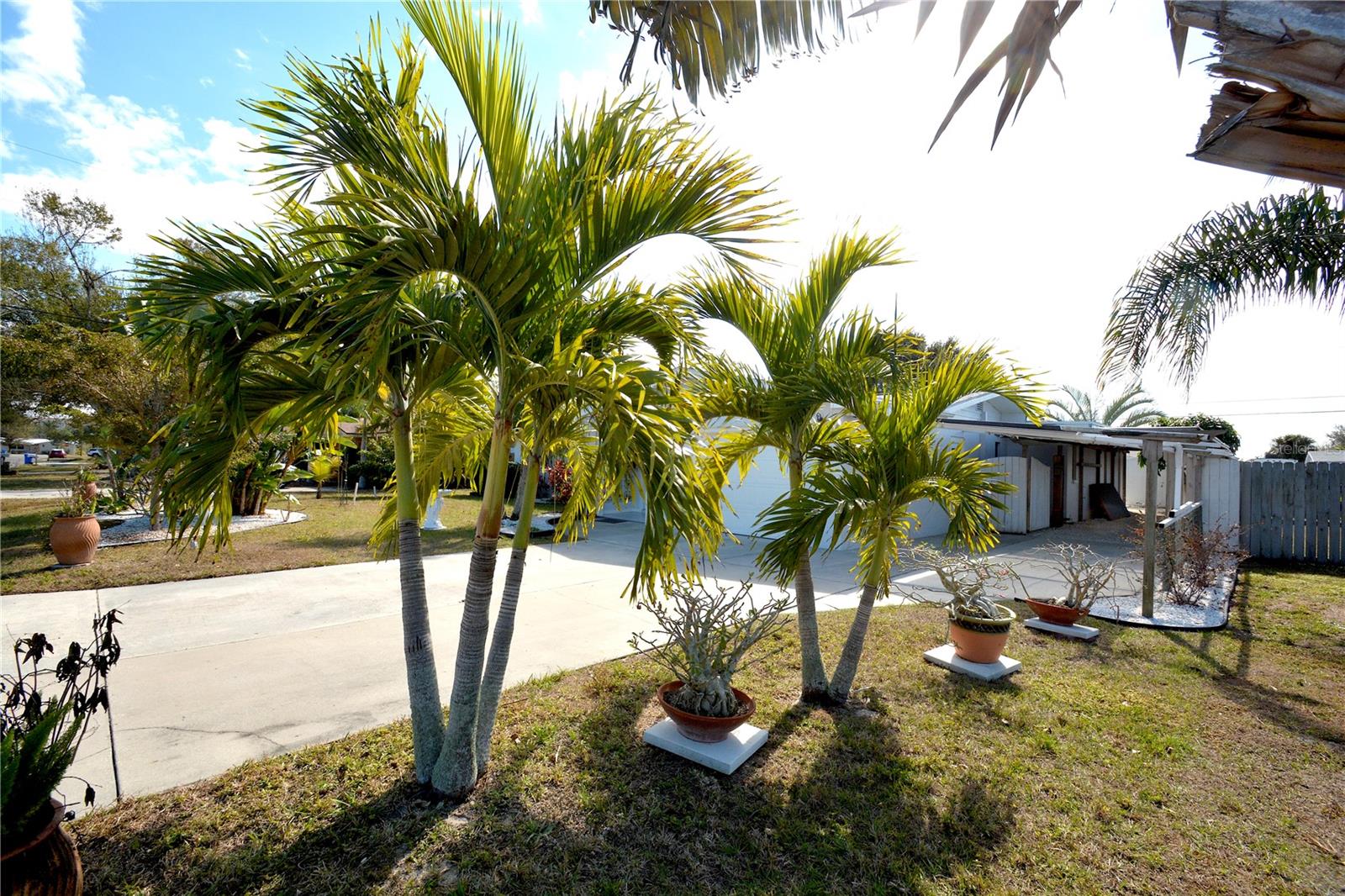 Image 25 of 34 For 1313 Mango Avenue