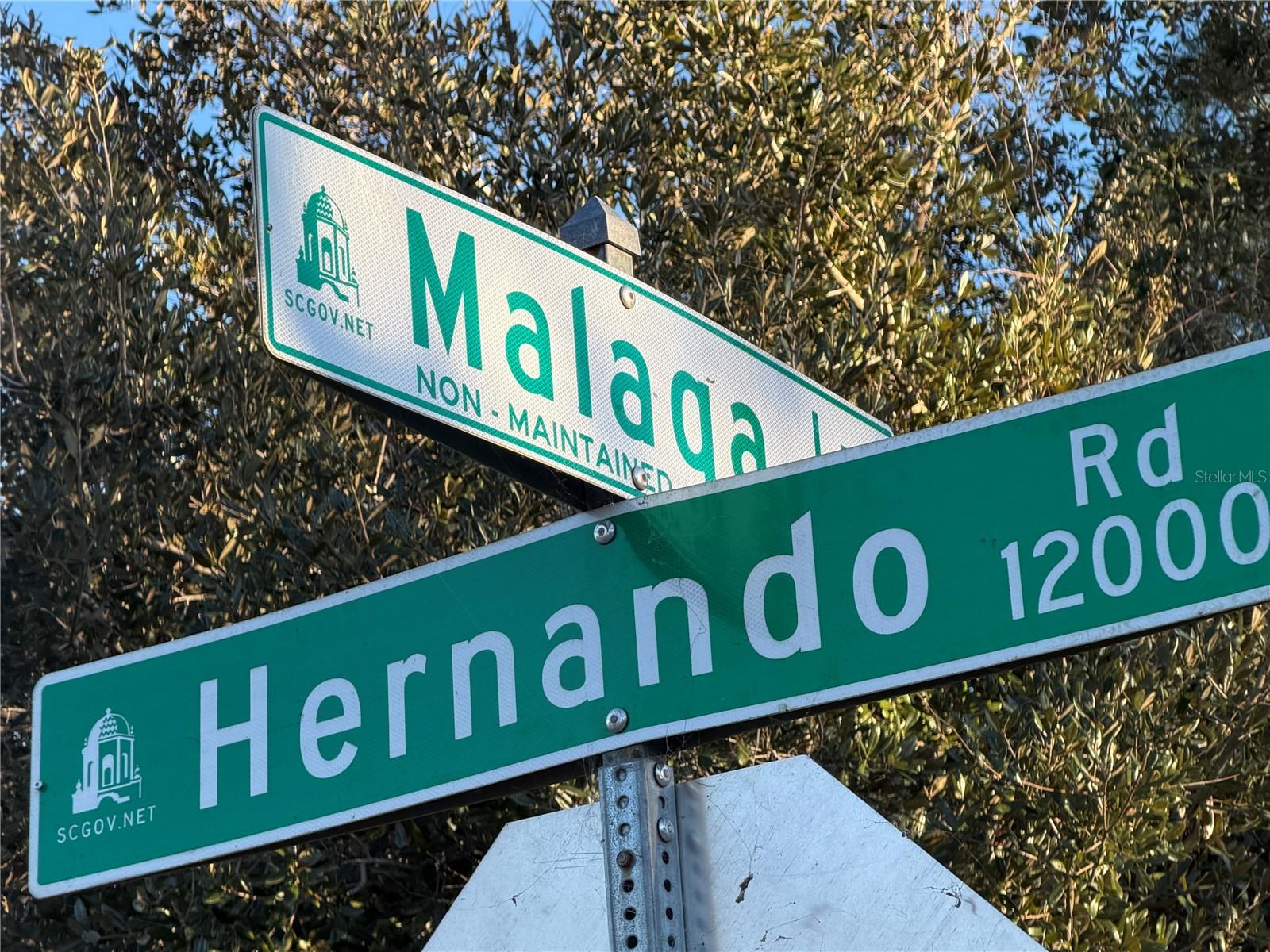 Image 3 of 4 For Lots 35 & 36 Hernando Road