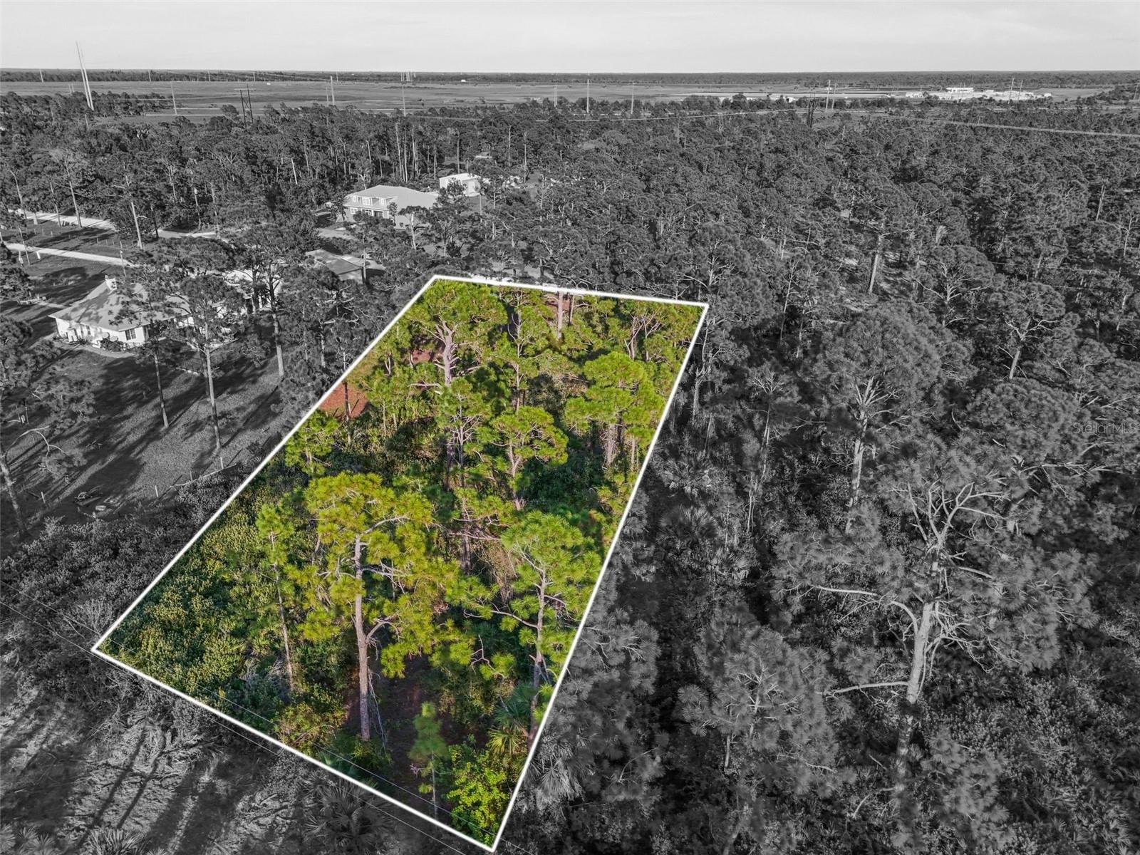 Image 4 of 6 For 7123 Sweden Boulevard