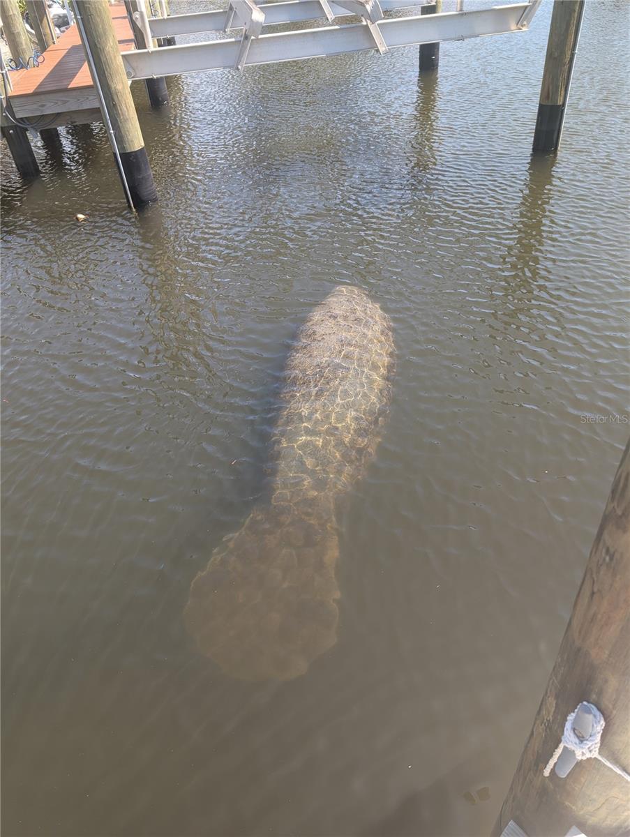 Image 38 of 41 For 511 Dona Drive