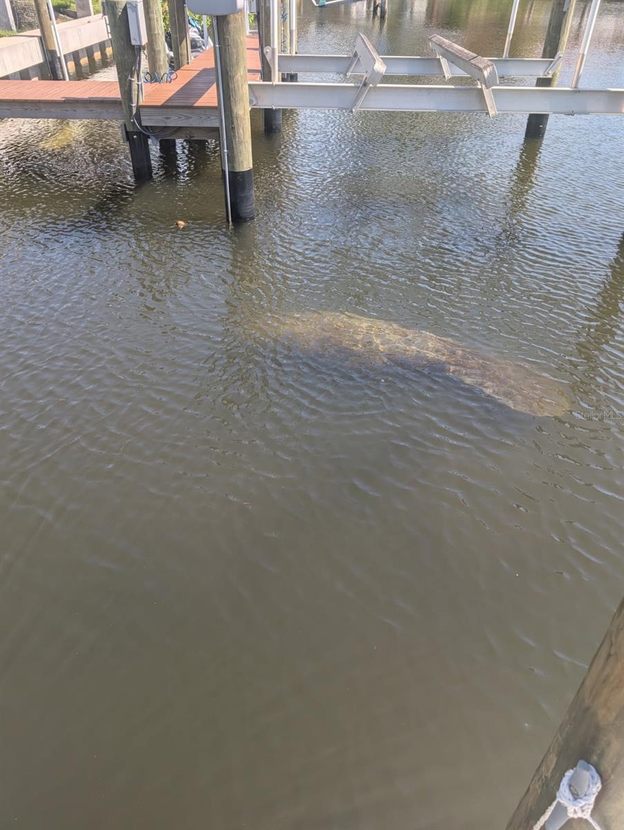 Image 39 of 41 For 511 Dona Drive