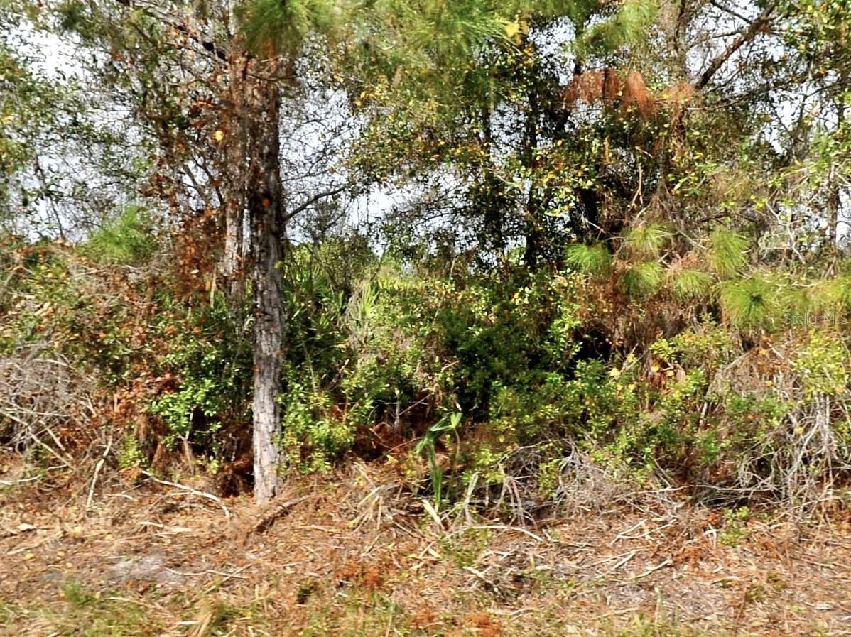 Image 2 of 2 For  Ohio Road 