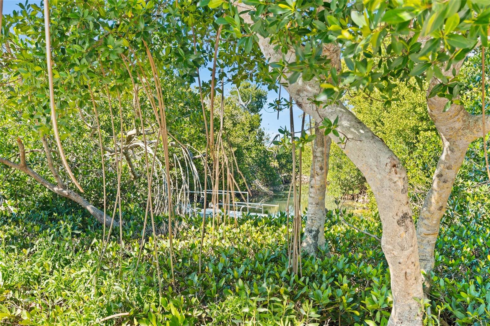 Image 39 of 46 For 8600 Midnight Pass Road 301