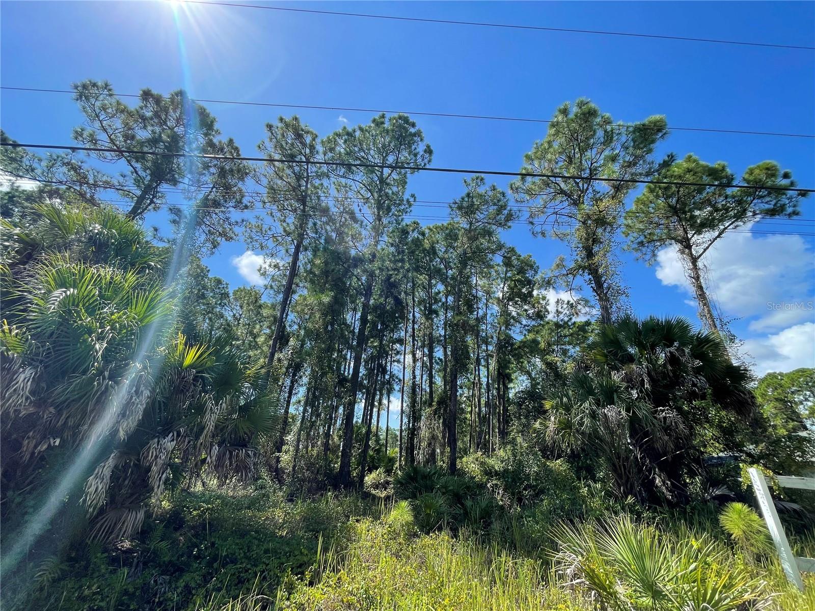 Details for Noppenberg Avenue Lot 30, NORTH PORT, FL 34288