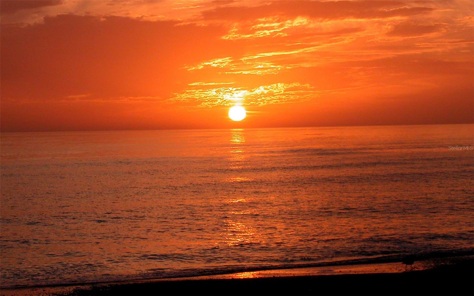 Image 15 of 15 For 8504 Heron Lagoon Circle