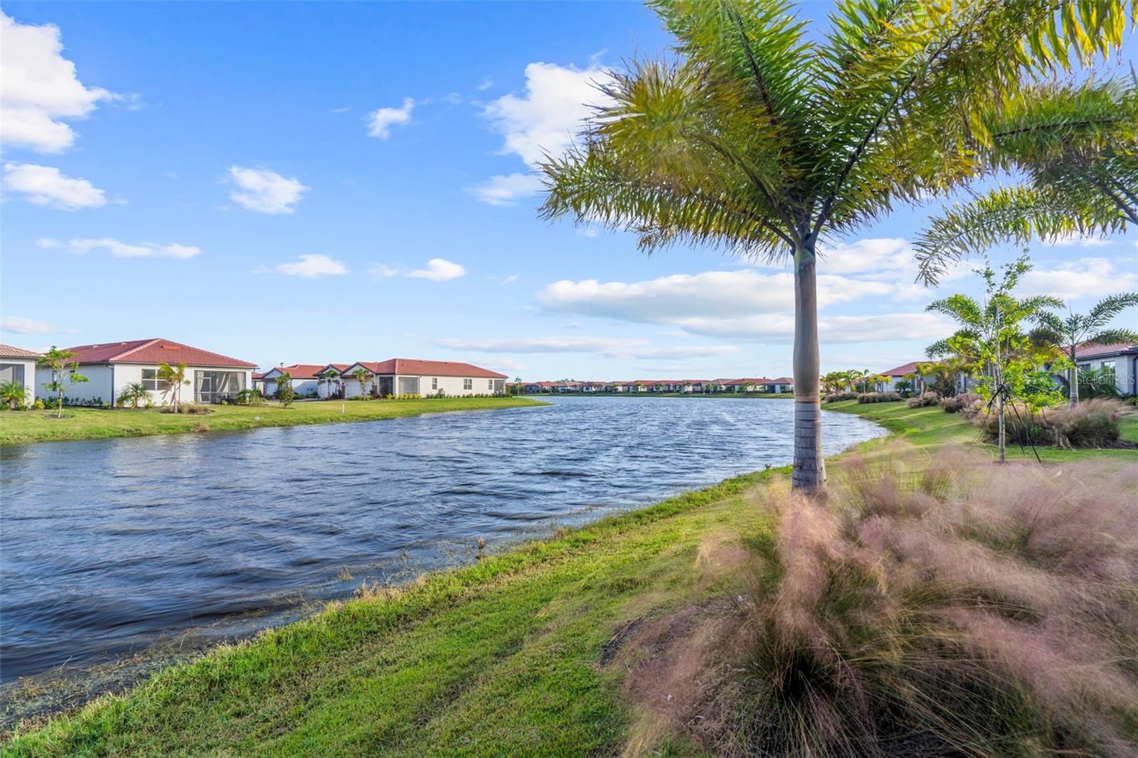 Image 19 of 29 For 245 Teramo Way