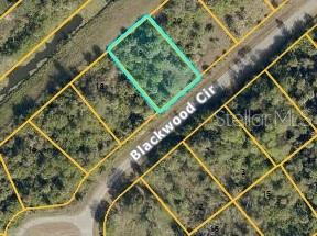 Listing Details for Blackwood Circle, NORTH PORT, FL 34288