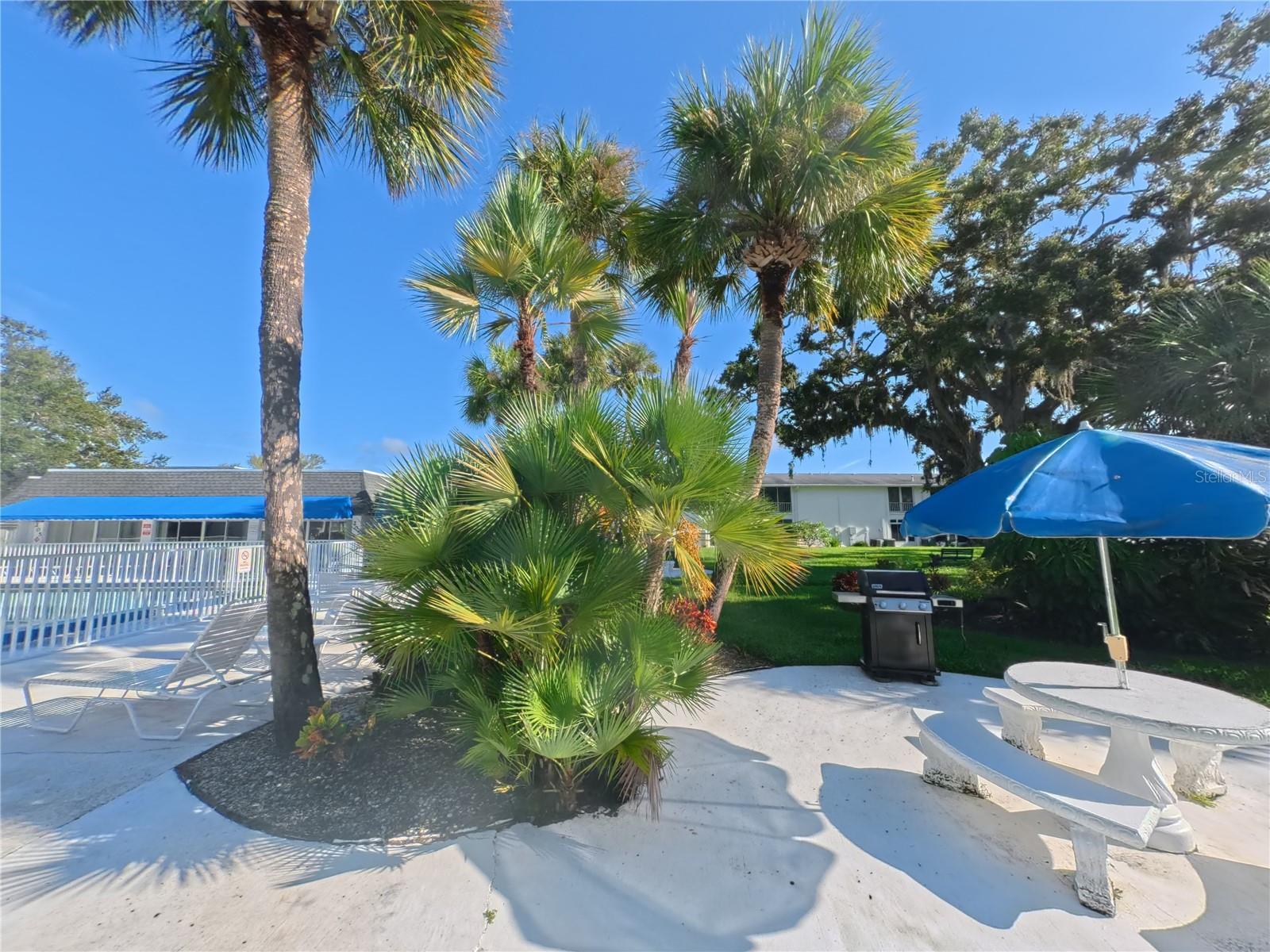 Image 25 of 29 For 202 47th Avenue Drive W 332