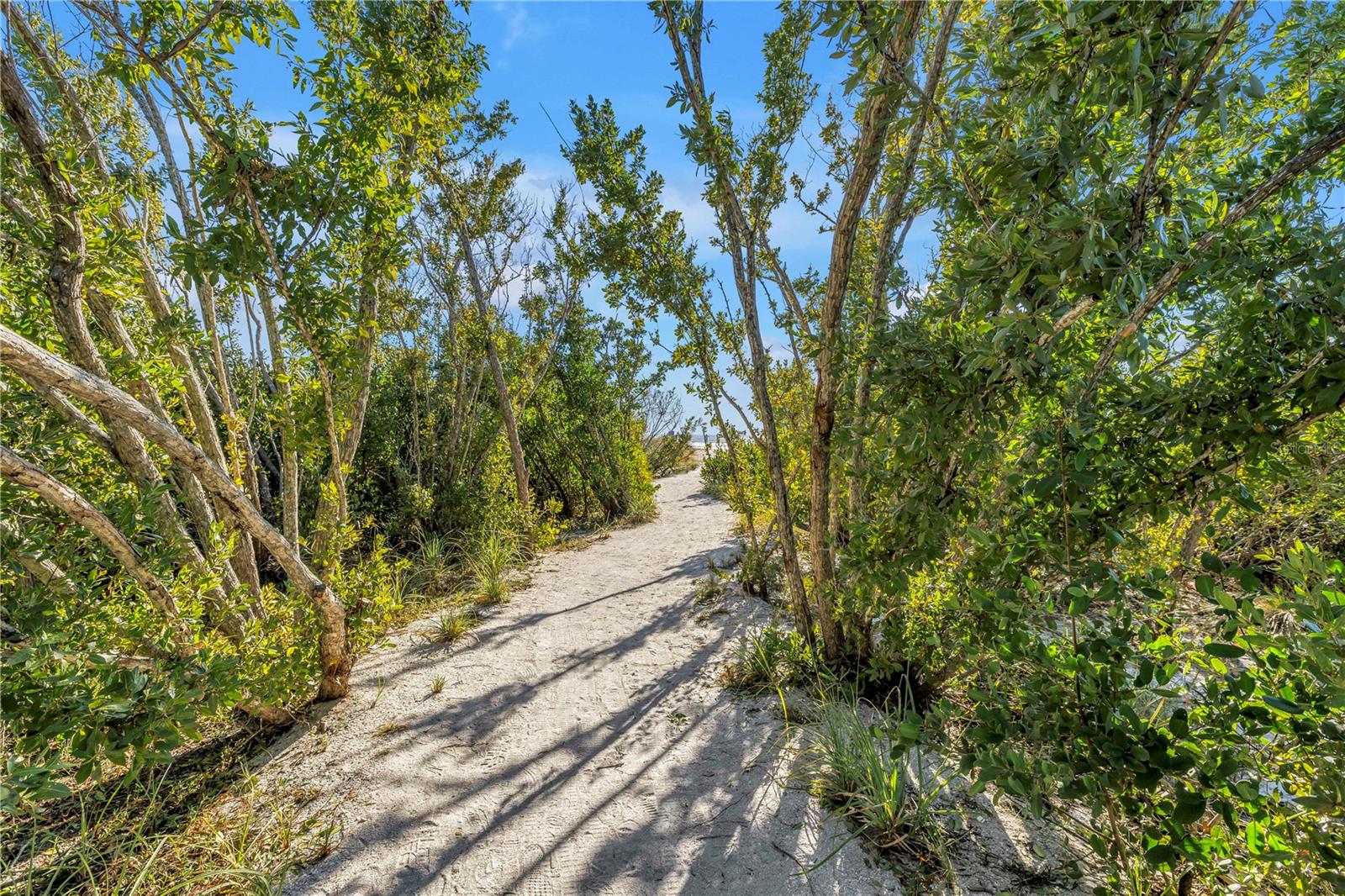 Image 40 of 64 For 450 Beach Road 4