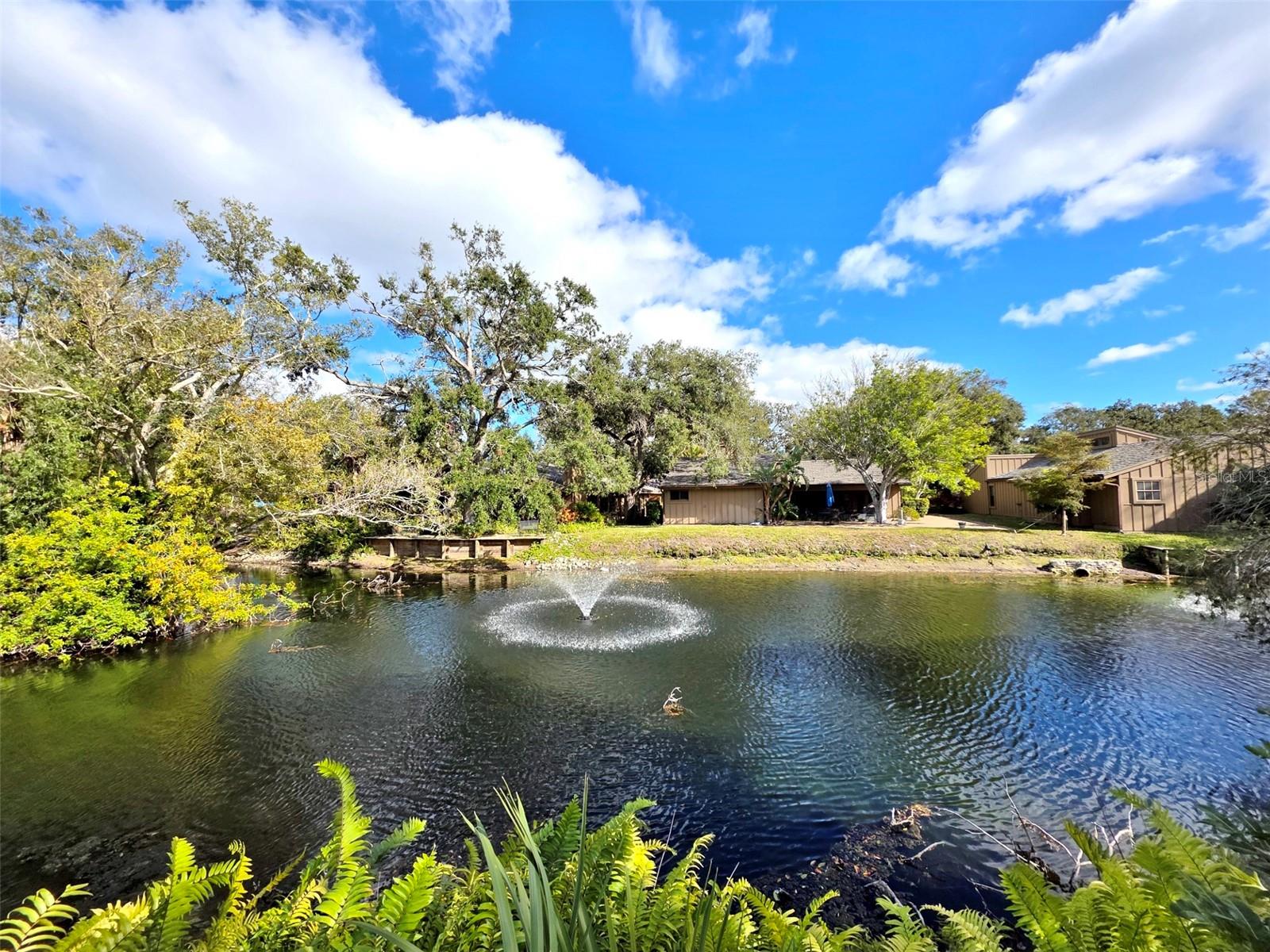 Image 41 of 56 For 1407 Willow Oak Circle