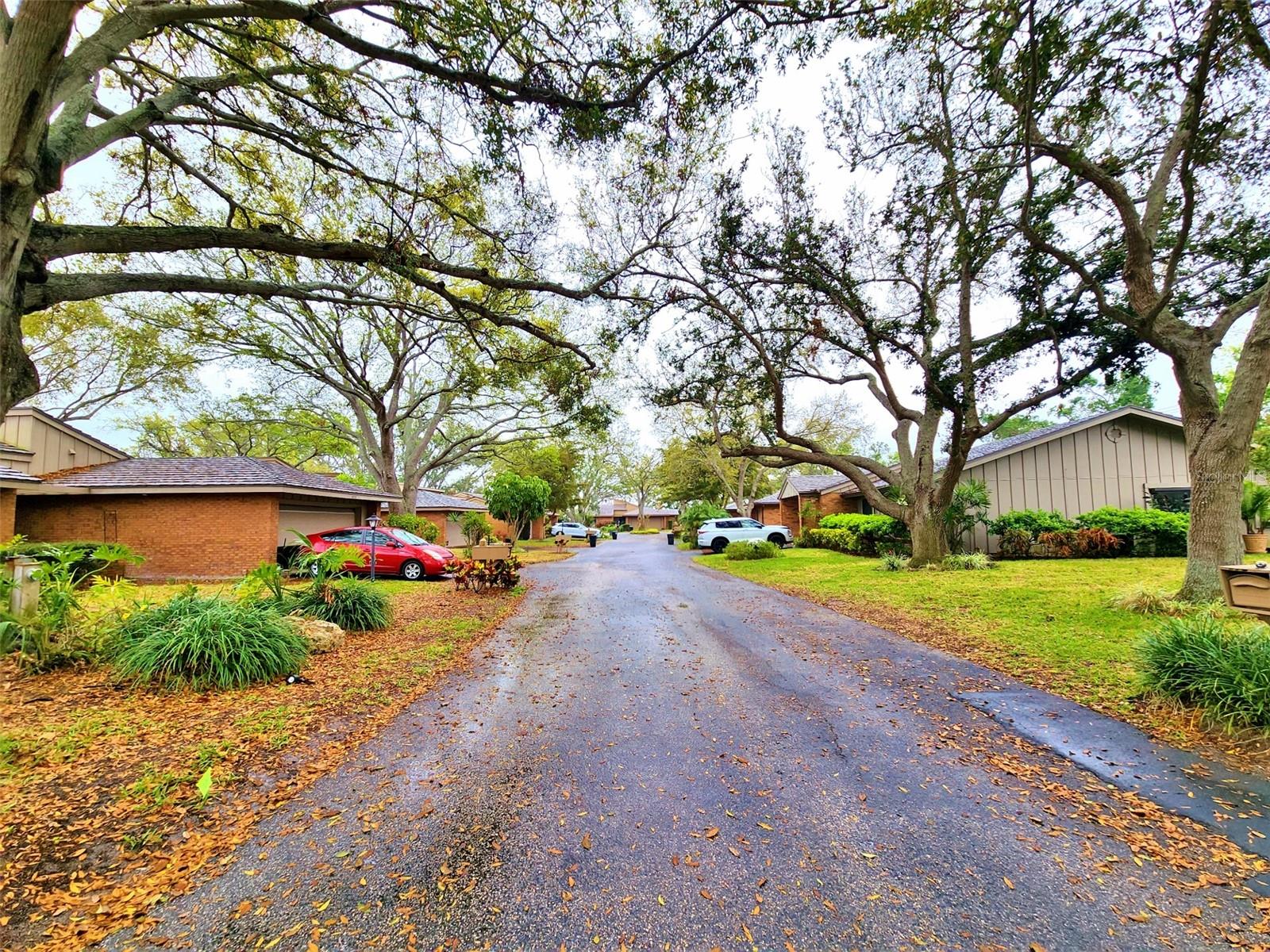 Image 44 of 56 For 1407 Willow Oak Circle