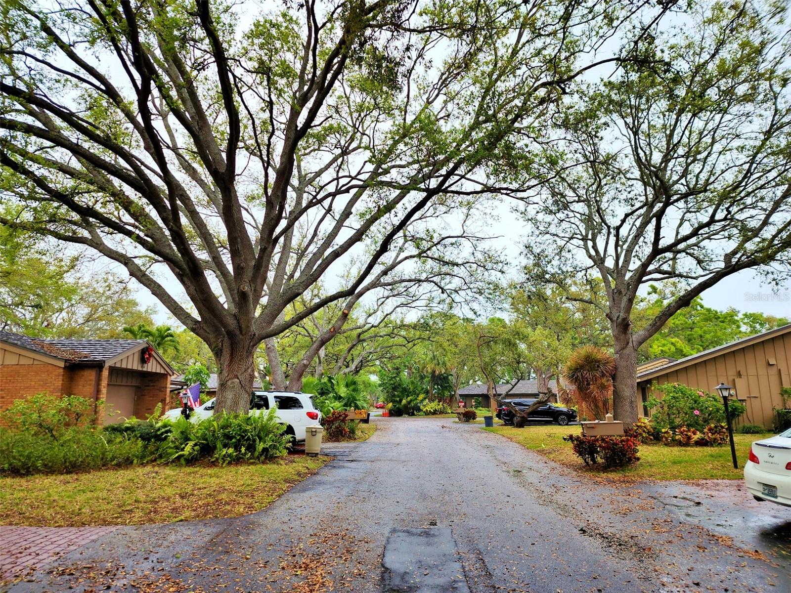 Image 45 of 56 For 1407 Willow Oak Circle