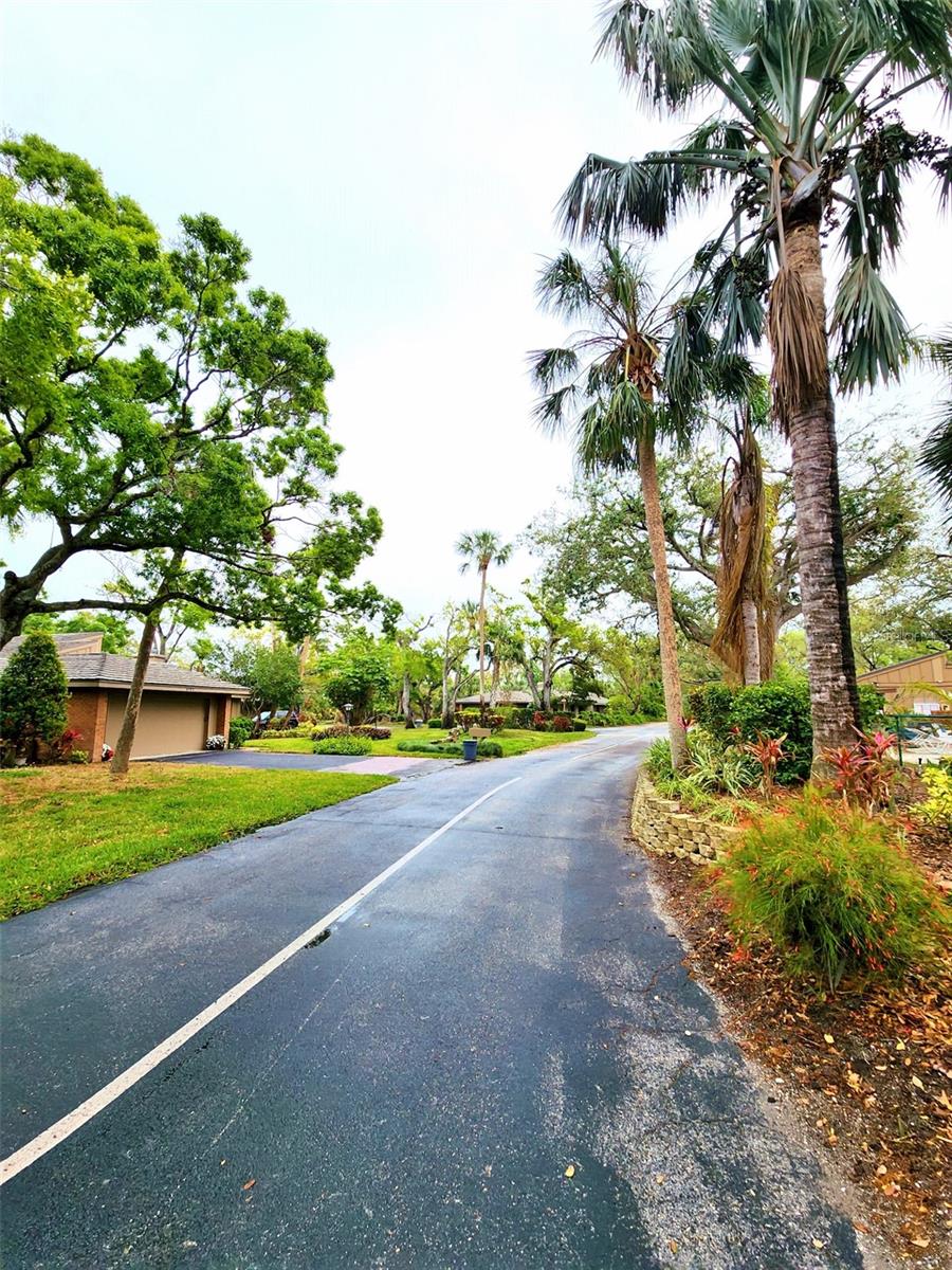 Image 46 of 56 For 1407 Willow Oak Circle