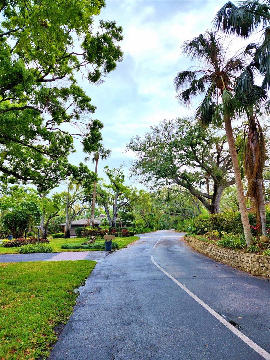 Image 48 of 56 For 1407 Willow Oak Circle