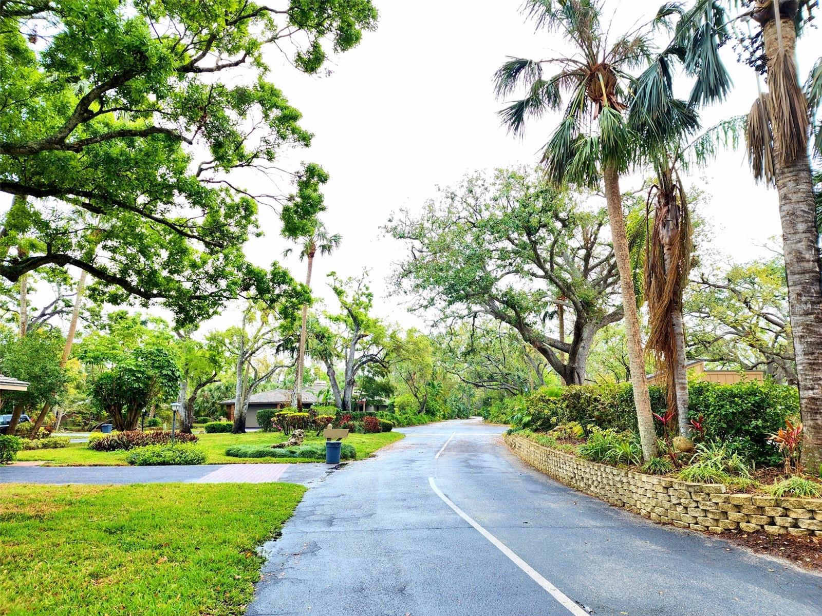 Image 49 of 56 For 1407 Willow Oak Circle