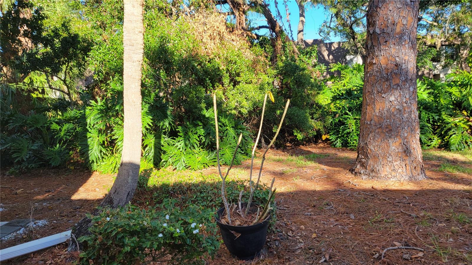 Image 12 of 18 For 4845 Winslow Beacon  51