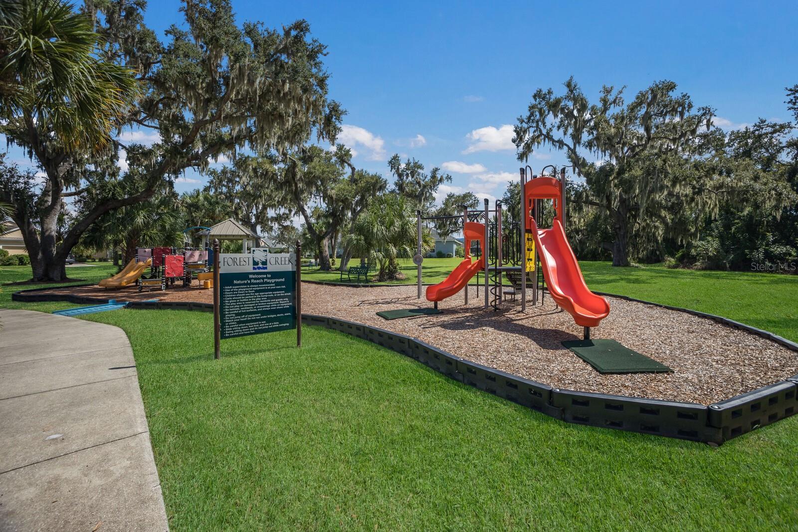 Image 66 of 77 For 11770 Hidden Forest Loop