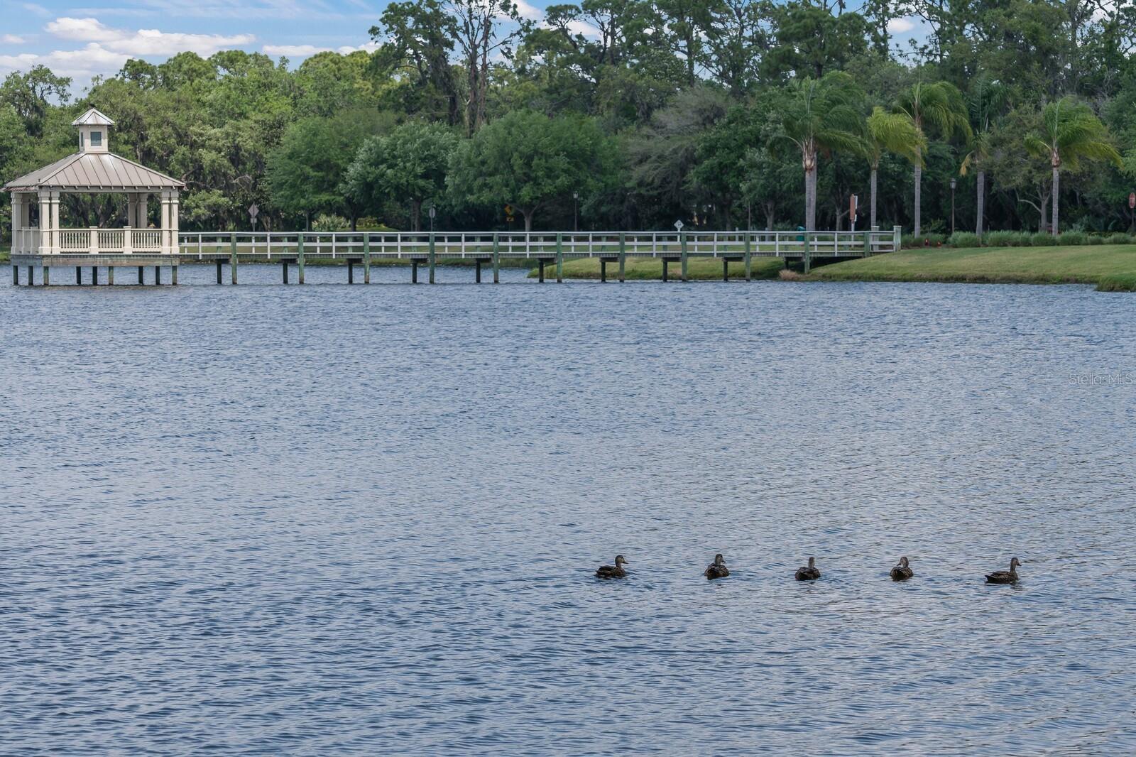 Image 72 of 77 For 11770 Hidden Forest Loop